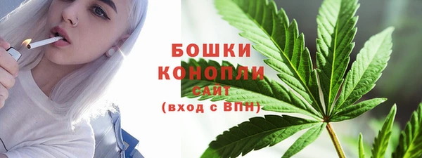 сатива Баксан