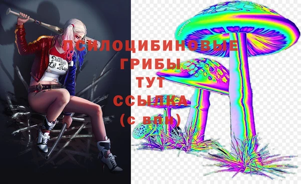 гидропоника Балахна