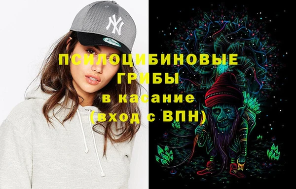сатива Баксан
