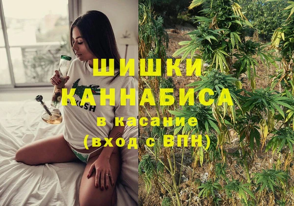 сатива Баксан