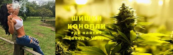 гидропоника Балахна