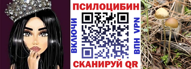 Псилоцибиновые грибы Psilocybine cubensis  сайты даркнета какой сайт  Лаишево 